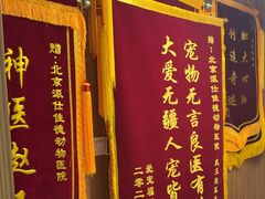 -北京派仕佳德动物医院·超导核磁·CT·神经科·骨科·内外科·急重症管理中心
