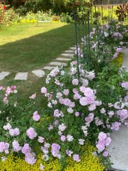 -安琪朵朵独栋花园月子中心