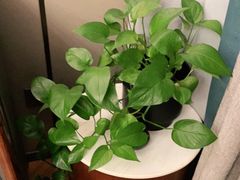 -宴昆山·私房菜(春晖店)