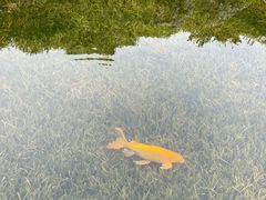 -黄鹤楼