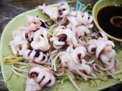 芥末海菊花-贞姨美食·老字号海鲜大排档