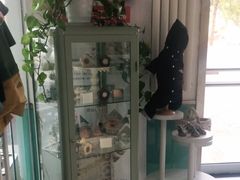 -欧奕国际动物医院