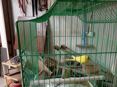 -吉鸿昌将军纪念馆