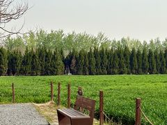 -汉长安城未央宫国家考古遗址公园