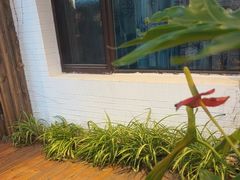 -慢丽江·云南野生菌土鸡锅(西山店)