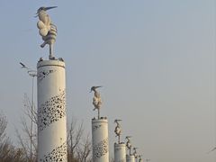 -丁香湖公园