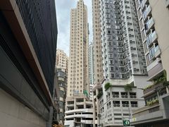 -香港大学