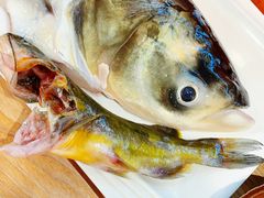 -铭记蛙小仙·活蛙畅享(CBD万达广场店)