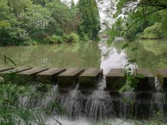 -桤木河湿地公园