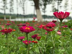 -滨湖塘西河公园