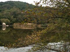 -鲁山国家森林公园