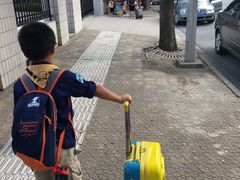 -夏山营地教育
