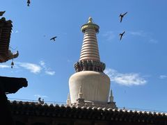 -张掖大佛寺景区