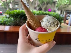 -LUNEURS月乐诗·烘焙甜品(华山路店)