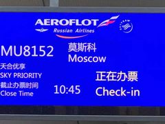 -谢列梅捷沃国际机场