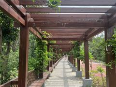 -青龙山国家森林公园