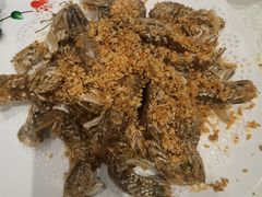 -大东海海鲜酒楼(渔人码头总店)