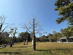 -四海公园(南山区)