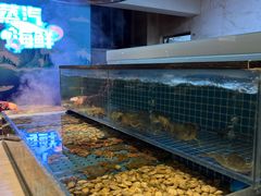-冀粤香海鲜自助餐厅(西美五洲店)