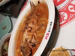 -阿五黄河大鲤鱼(纬三路店)