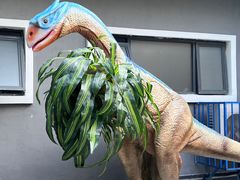 -海合安武汉极地海洋公园