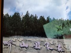 -北京十三陵国家森林公园蟒山景区