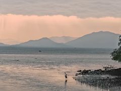 -深圳湾公园(南山区)