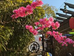 -慢丽江·云南野生菌土鸡锅(付家庄店)