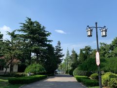 -莱西月湖公园