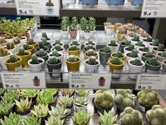-鹿岛会员店(熙地港店)