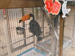 -南宫五洲植物乐园