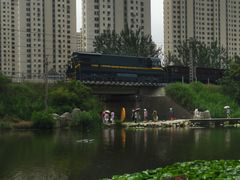 -前关湿地公园