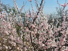-沈阳辉山风景区