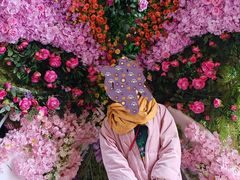 -花博汇(知音花月夜)