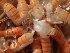 -同乐酒楼(皇后镇店)