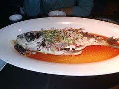 仙骨鱼-凤凰湘语·湘粤鲜融(浦东旗舰店)