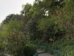 -乌山风景区
