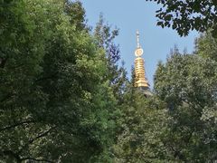 -西湖游船