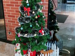 -一兆韦德健身(慧芝湖店)