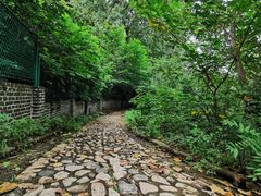 -四门塔风景区