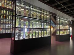 -广东中医药博物馆