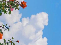 -爱马仕 HERMES(王府井步行街店)