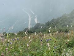 -白草畔自然风景区