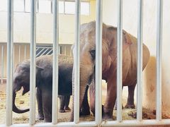 -石家庄市动物园