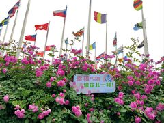 -南京国际青年文化中心