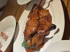 -圆苑(金茂店)