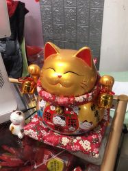 -巡鱼道·室内垂钓·渔具店