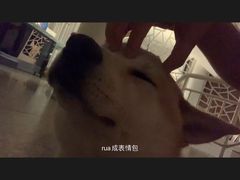 -莫内艺术岛海景咖啡