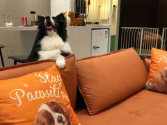 -太阳岛度假酒店