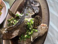 石斑鱼-红月湾海鲜饭店•沙滩海景(双月湾店)